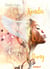 Anna Konda - Engel der Vergeltung - Band 3 der fesselnden Romantasy-Trilogie - Jugendbuch für Mädchen ab 14