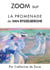 Zoom sur La promenade de Van Rysselberghe - Pour connaitre tous les secrets du célèbre tableau de Van Rysselberghe !