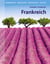 Frankreich - Geographie, Geschichte, Wirtschaft, Politik
