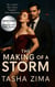 The Making of a Storm