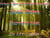 Urban Tiger The Grave Outdoors Book Three Survival Test - Urban Tiger, #1
