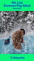 Abs Lust Snowmen Play Naked - Desire, #202