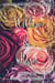 Willow & Rose - Hawthorn & Ash
