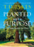 Planted with a Purpose - God Turns Pressure into Power