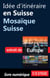 Idée d'itinéraire en Suisse - Mosaïque Suisse