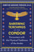 Shamanic Teachings of the Condor - Encounters with the Mystical Traditions of the Andes