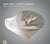 Veil and quintessence / Gábor Gadó & Laurent Blondiau