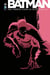 Batman - Des ombres dans la nuit