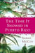 The Time It Snowed in Puerto Rico - A Novel