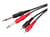Shiver - 2 RCA /2 Jacks 6,35 mm - 3m