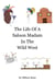 The Life Of A Saloon Madam In The Wild West - ILLUSTRATED LIFE LINES, #2
