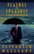 Flashes of Splashes: A Flash Fiction Collection