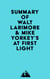 Summary of Walt Larimore & Mike Yorkey's At First Light