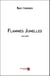 Flammes Jumelles - Le Lien