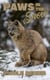 Paws in the Snow - Lyon Lynx Clan, #0.5