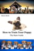 How to Train Your Puppy - Dog training