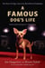 A Famous Dog's Life - The Story of Gidget, America's Most Beloved Chihuahua