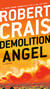 Demolition Angel - A Novel