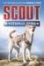 Scout: National Hero