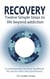Recovery - Twelve Simple Steps to a Life Beyond Addiction - A contemporary recovery handbook for users and practitioners