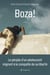 Boza !