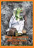 Das Geheimnis des Drachen - Band 2