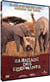 La Balade des éléphants
