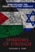 Shadows of Struggle: Unravelling the Israel-Palestine Conflict
