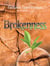 Brokenness: The Secret of Spiritual Overflow - Leading God's people, #3
