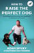 How to Raise the Perfect Dog - Everything you need to know from puppyhood to adolescence and beyond