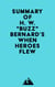 Summary of H. W. "Buzz" Bernard's When Heroes Flew