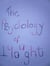 The Psychology of Thought