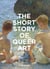 The Short Story of Queer Art - A Pocket Guide to Key Movements, Works, Themes & Breakthroughs