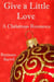 Give a Little Love, A Christmas Romance