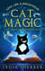 Love, Lies, and Hocus Pocus Cat Magic - The Lily Singer Adventures Novellas, #2