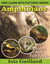 Amphibians Photos and Fun Facts for Kids - Kids Learn With Pictures, #121