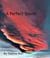 A Perfect Storm