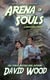 Arena of Souls- A Brock Stone Adventure - Brock Stone Adventures, #1