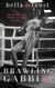 Brawling Gabbi - Faust Fast & Filthy Fiction, #5