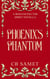 Phoenix's Phantom - Romancing the Spirit Series, #17