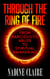 Through the Ring of Fire: From Narcissistic Abuse to Spiritual Awakening