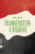 Frankenstein à Bagdad