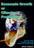 Economic Growth or Climate Protection? - The story of the (avoidable) end of the human race in 9,500 words