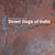 Street Dogs of India