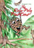 The Roly-Poly Pine Cone - A Black Forest Fairy Tale
