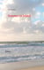 Sommer in Irland - Roman