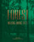 Forest - Walking among trees