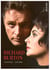Richard Burton - Journal Intime