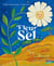 Fleur de sel