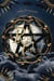 The Royal Coven (Tome 1)